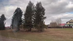 Pogoda v Sibiri Лесной массив