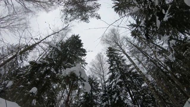 Коп по войне.ПРО КОП.Серия 107. аккумулятор с дискотеки