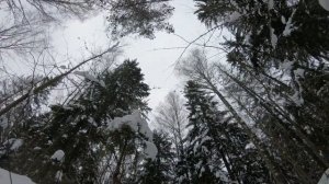 Коп по войне.ПРО КОП.Серия 107. аккумулятор с дискотеки