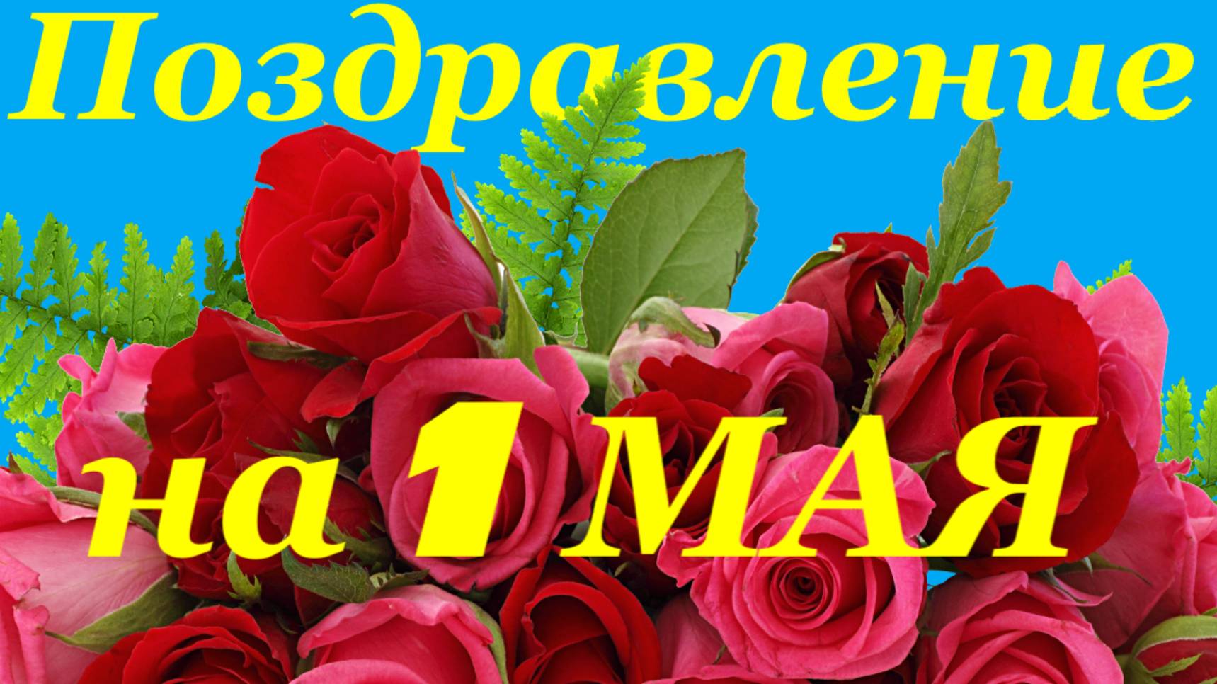 Поздравление с 1 Мая поздравляю на красивый Первомай