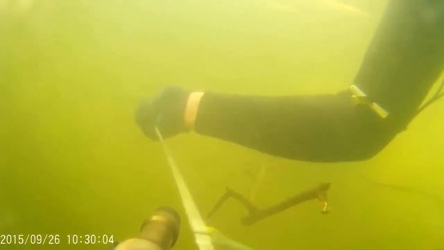 Подводная охота 1 Сомы в завале