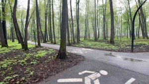 Коротко о погоде  28-04-2025