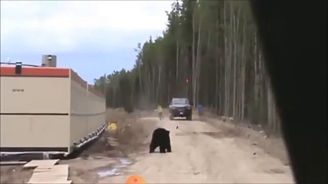 САМЫЕ СМЕШНЫЕ ПРИКОЛЫ ЛЮДЕЙ!!! смотреть онлайн