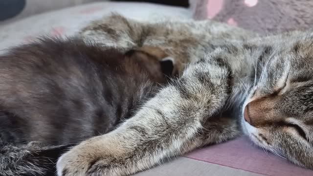 Ещё одно доброе дело смотреть онлайн