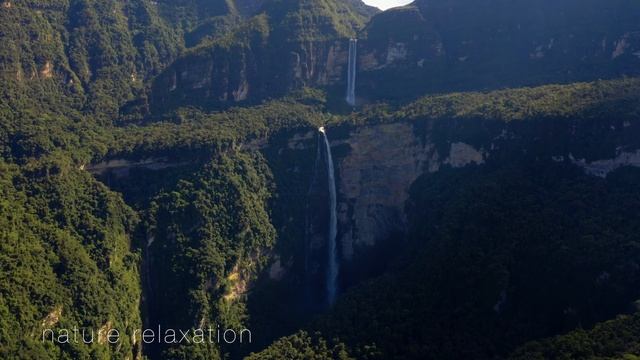 Перуанские джунгли смотреть онлайн