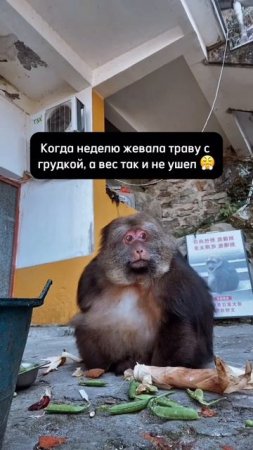 До лета осталось 34 дня.
#ЯВСЕРЕШУ