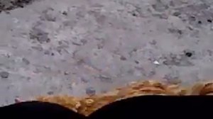 Прикол про Курицу. Смотреть всем!