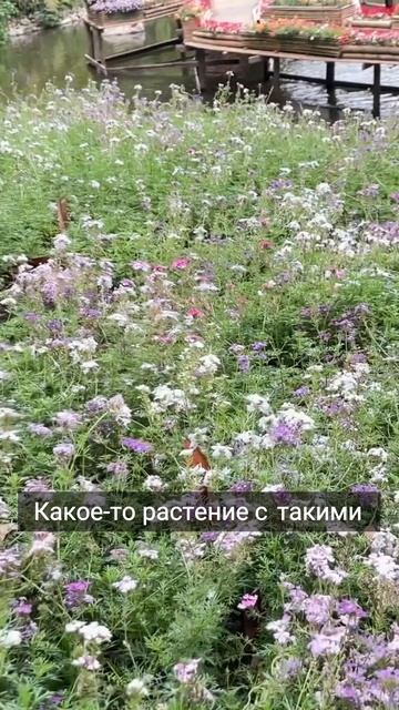Экзотическая природа Таиланда