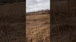 Приметкино. Иду между домом и старыми развалинами