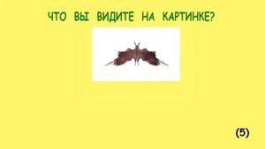 Психологический Тест Роршаха // Есть ли у Вас шизофрения?