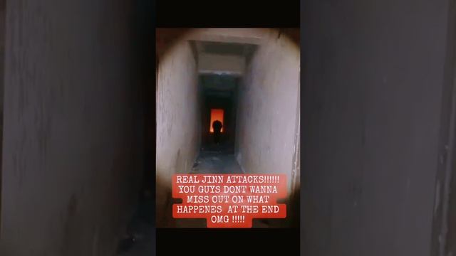 Автор утверждает, что заснял настоящего джина