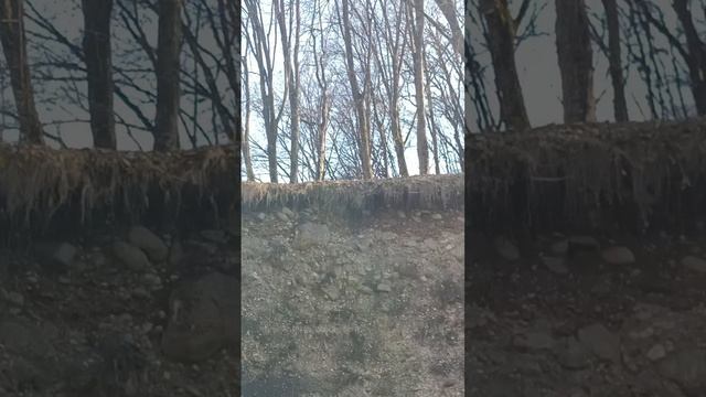 1000327543.mp4 НАЛЬЧИК.28.03.2024.Мои прогулки и путешествия.Возвращаемся от лесничества к санатор