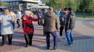 Крылышки... 27.04.25...