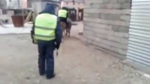 Осёл украл Осла