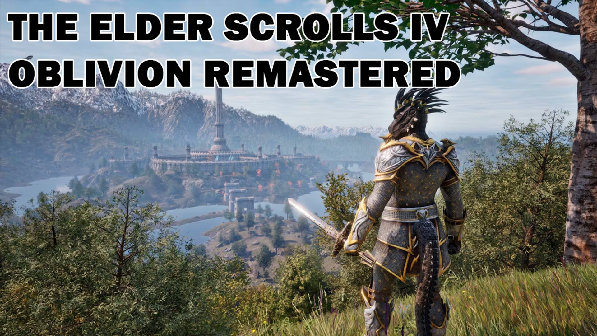 The Elder Scrolls IV - Oblivion Remastered #5