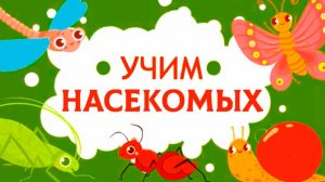 Учим Насекомых - Развивающий мультик для детей - Познавательное видео для малышей