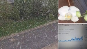 Недельный влог. Такие были планы и...про заработок на дзен и рутуб. 28.04.25г