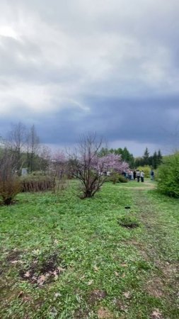 Уфа, Ботанический сад в цвету  27-04-2025