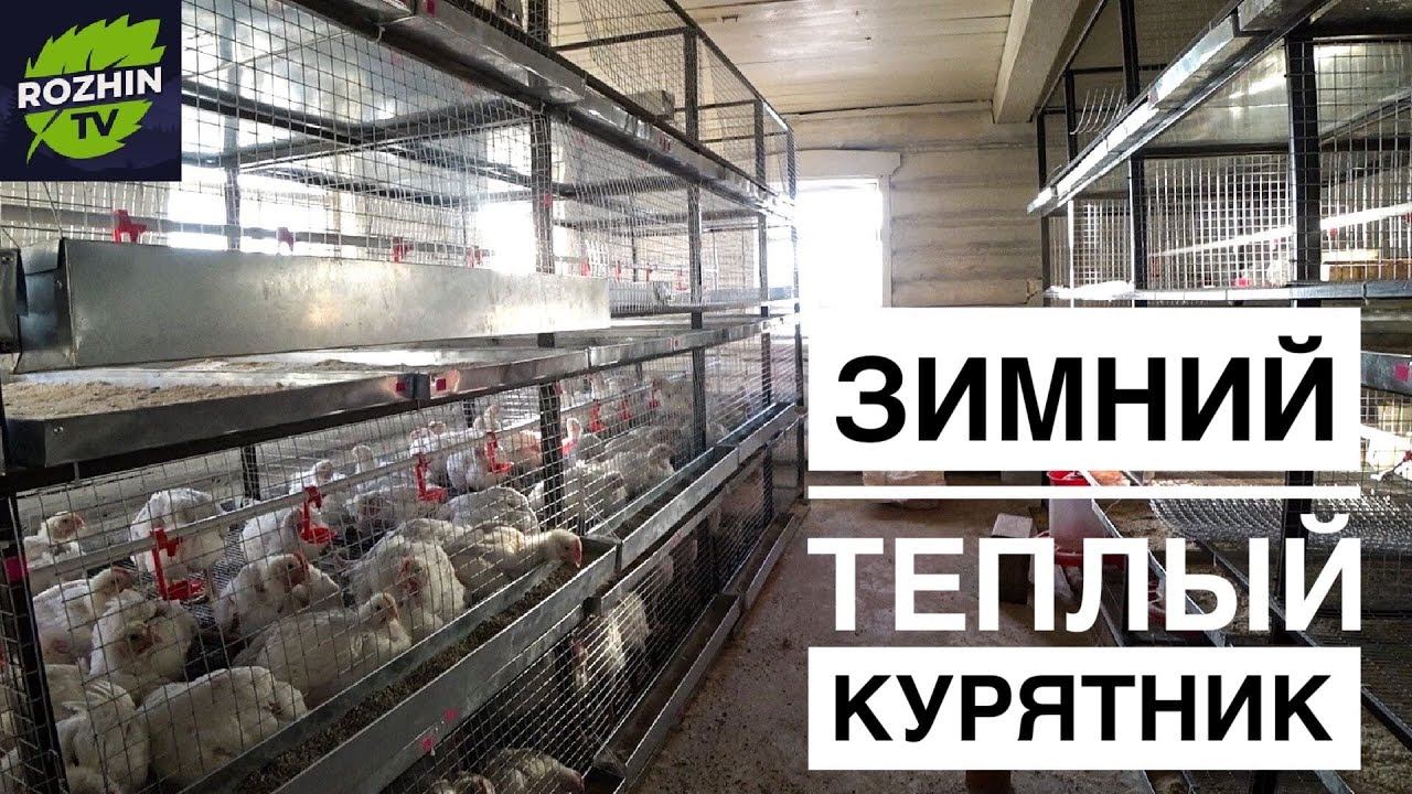 Теплый зимний курятник своими руками