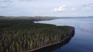 Курея часть 6