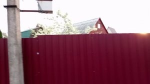 Амстафф полгода_20250423