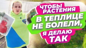 ЧТО ДЕЛАТЬ, ЕСЛИ РАСТЕНИЯ ПОСТОЯННО БОЛЕЮТ