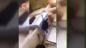 Смешные видео!!! Дебилы 100 уровня!!! Угар