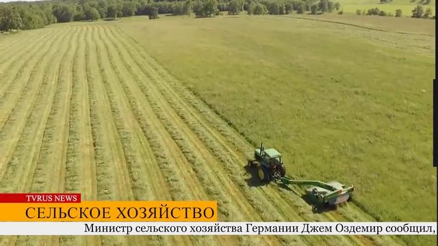 Вступили в силу новые, усложненные правила въезда в Шенгенскую зону для граждан России...