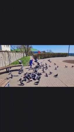28.04.2025