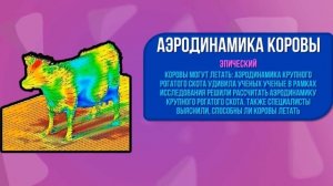 Кибер Бабл Квас