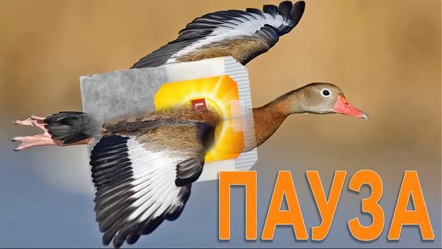 Стрим Бесконечное лето (Everlasting Summer) #2 смотреть онлайн