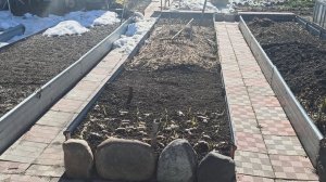 Грядки из профнастила весной.