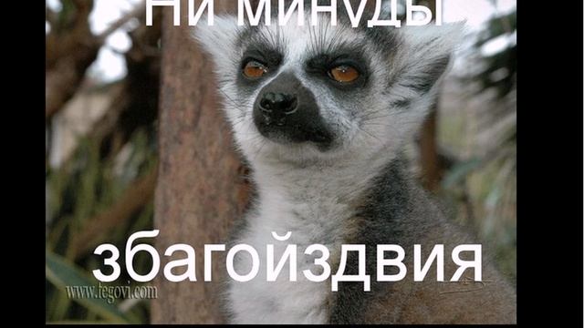 Узбагойся