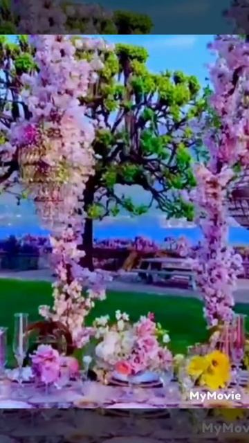 #very # nice #whatsapp #status #trending #viralshort #viral смотреть онлайн