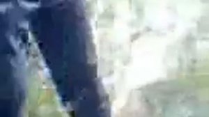 Косилка по башкирски + татарски)