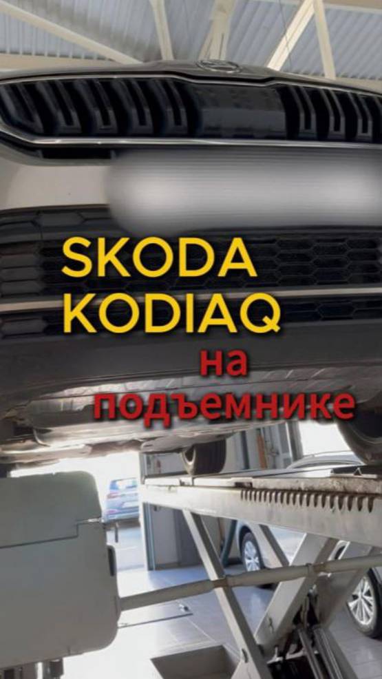 Skoda Kodiaq
на подъёмнике⚒️⚙️