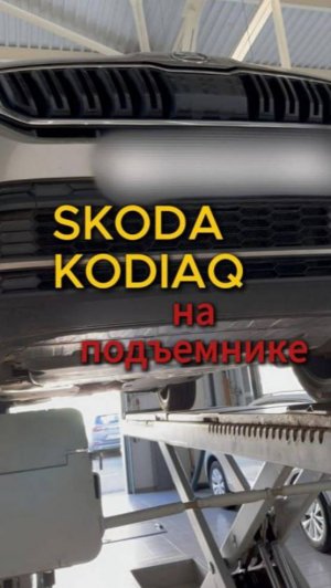 Skoda Kodiaq
на подъёмнике⚒️⚙️