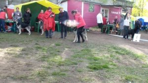 Элита Урала Зидан bestdog.mybb.ru