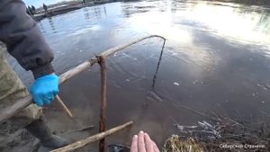 Рыбалка на дедовскую снасть кривду.