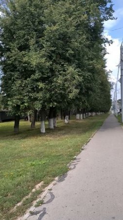 По тротуару