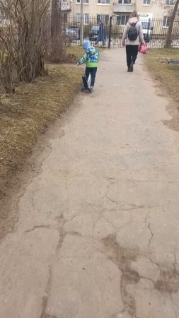 по дороге домой с сада