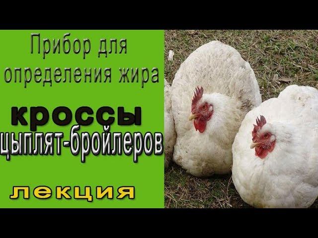 Приборы для определения жира.  Кросс цыплят бройлеров
