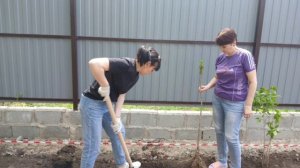 2025. МБДОУ "Детский сад № 30" присоединился к акции "Сад Памяти"!