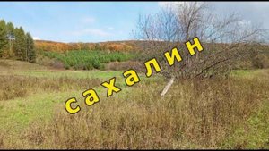 Красноусольск. Сахалин, Поляна бывшей деревни