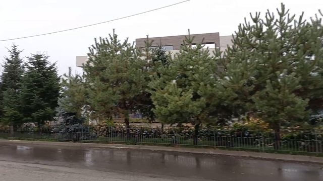 3.10.2022. Хмурый осенний день в парке Северный Хабаровск.