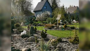 Весенние пересадки в хвойном саду!🌲 Обзор сада!🌈28 апреля 2025 #сад #garden #mechtatelnica