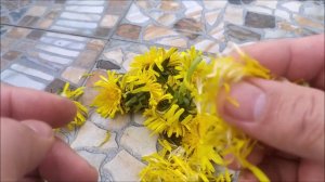 Настоящий рецепт вина из ОДУВАНЧИКОВ.