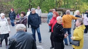 Лилии.......27.04.25 Гомель парк Луначарского 🥰💫