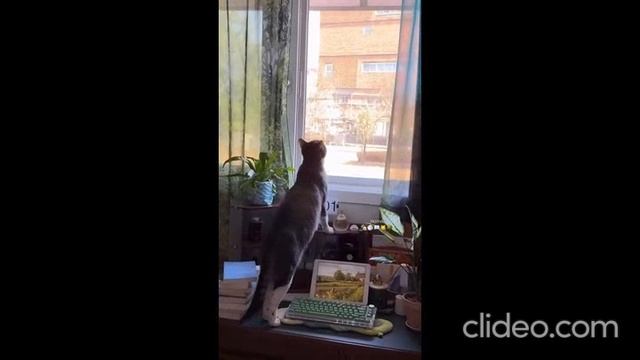 Сеул. Дом смотреть онлайн