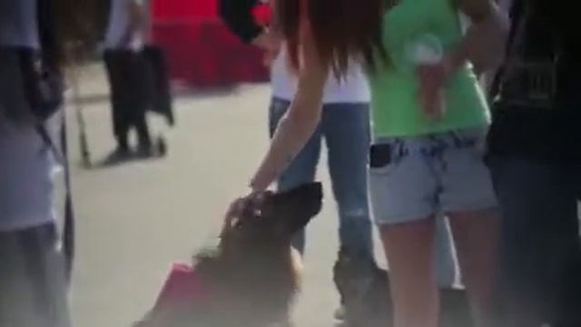 Выставка #собакикоторыелюбят #первомайнадобрать